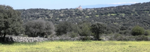 Imagen El Ayuntamiento